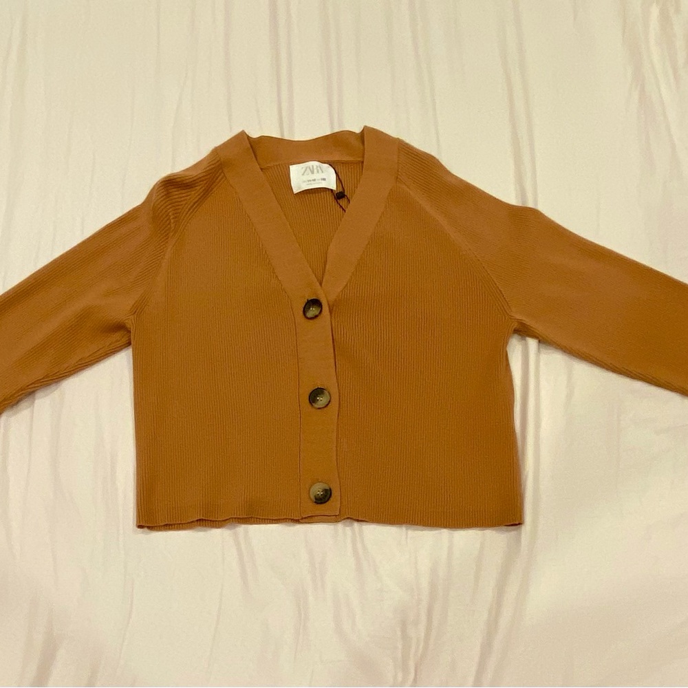 Zara mocha colored sweater